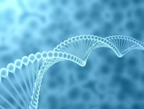 衣服與人類(lèi)進(jìn)化 生物技術(shù)視角下的重新審視