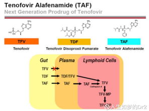 人生如夢(mèng)的DR2 吉利德為何為HIV新藥動(dòng)用第二張?zhí)靸r(jià)優(yōu)先審評(píng)券？